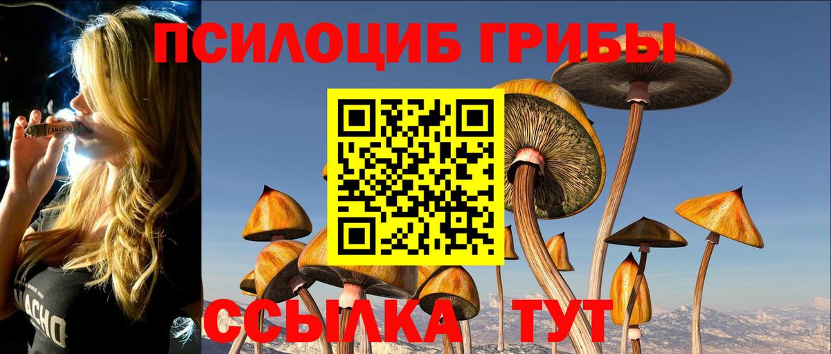 Мурманск  Галлюциногенные грибы Cubensis  Вход с VPN 